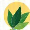eco-friendly leaf icon for handmade cosmetics